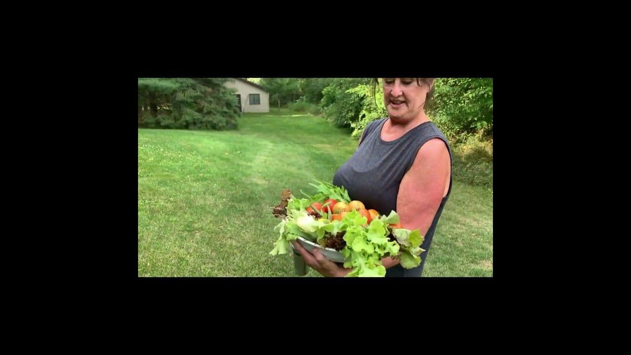 Collecting fresh vegetables & giving them to Love Inc in Burlington