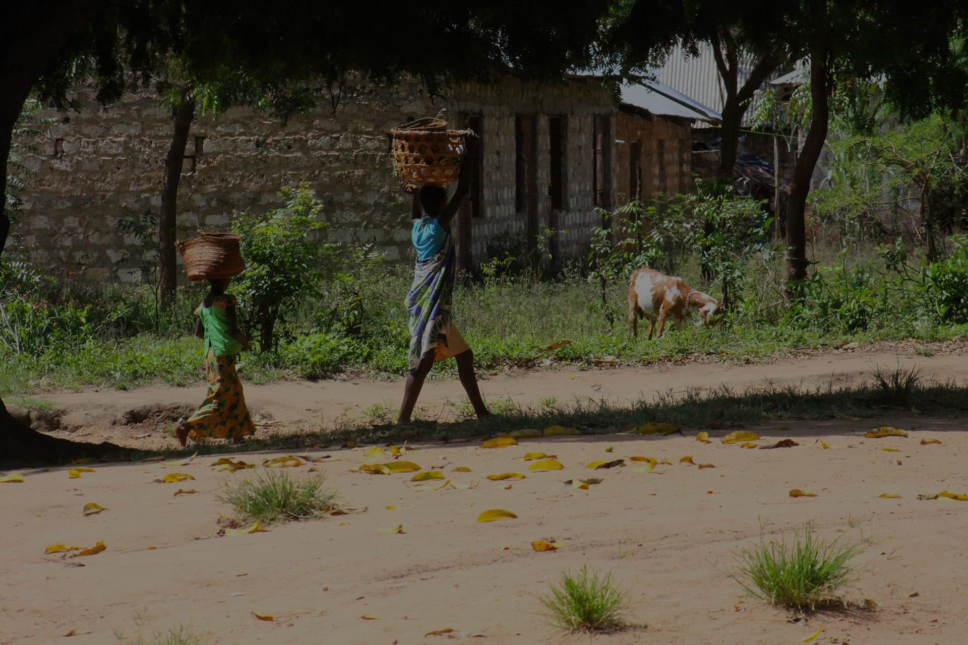 We help international families