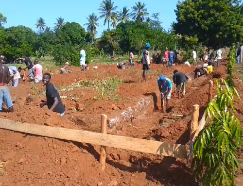 The school building had begun.